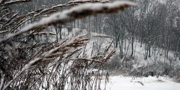 Во вторник в Приморье начнет теплеть