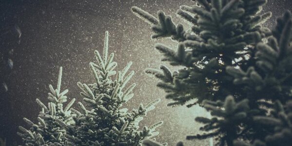 Небольшой снег пройдет в Приморье в среду ночью