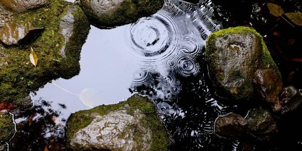 В Приморье затруднён проезд в Тернейском округе и Красноармейском районе из-за паводков