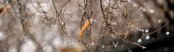 За сутки во Владивостоке выпало до 95 % месячной нормы осадков