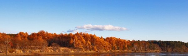 Тепло вернётся в Приморье в выходные дни