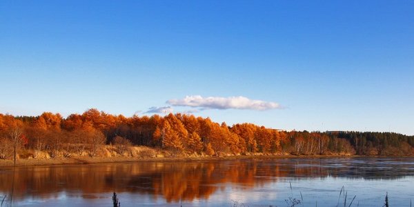 Тепло вернётся в Приморье в выходные дни