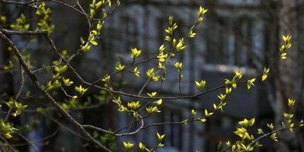 В Приморье завтра до +25 °C, а во Владивостоке +11 °C и облачно