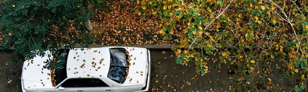 Облачность циклона накроет Приморье в выходные