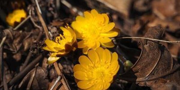 Во вторник столбики термометров в Приморье поползут вверх
