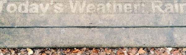 В США появились картины, проявляющиеся во время дождя (ВИДЕО)