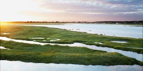 Паводковая обстановка в Приморье начинает стабилизироваться