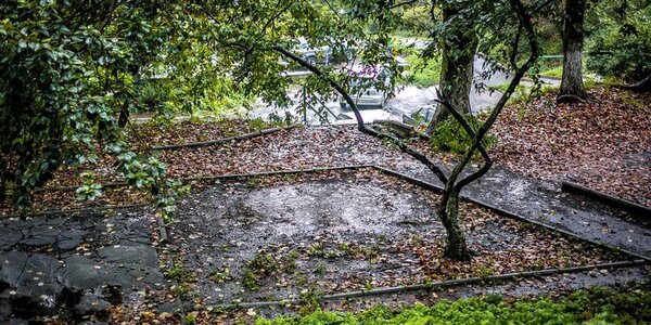 Похолодание и небольшие дожди ждут Приморье во вторник