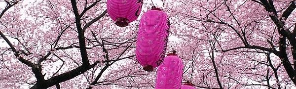 В японской префектуре Осака расцвели сливы