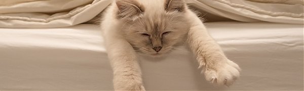 Учёные рассказали о пользе долгого сна в выходные