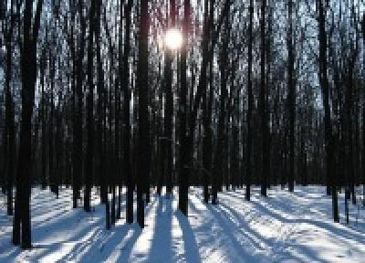 Погоду в Приморье определяет Сибирский антициклон