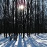 Погоду в Приморье определяет Сибирский антициклон