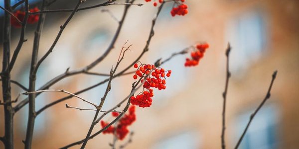 Владивосток оказался в конце экологического рейтинга
