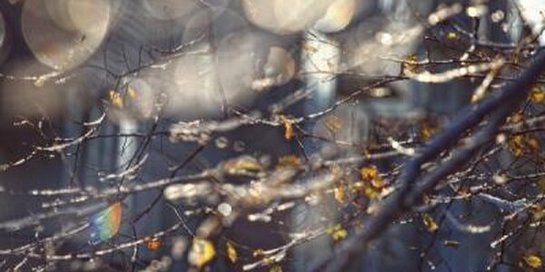 Высокие температуры, установившиеся в Приморье, способствуют интенсивному таянию снега