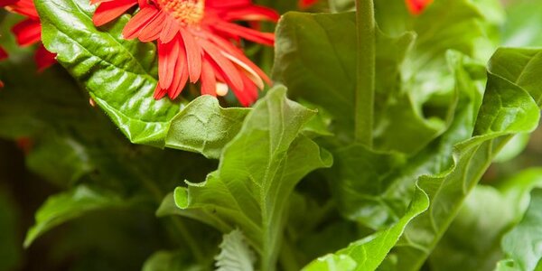 На этой неделе погода в Приморье будет меняться ежедневно