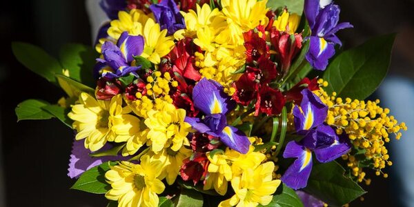 Синоптики уточнили прогноз погоды на 8 марта в Приморье