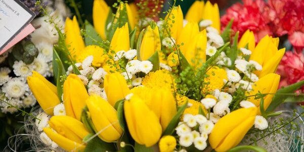 Погода во Владивостоке на 8 марта была хорошей