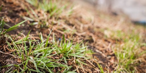 Погода в Приморье: март уходит, а дождливая погода остается