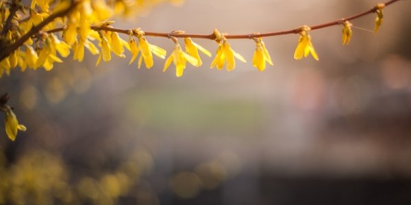 Апрель в Приморье будет прохладным и влажным