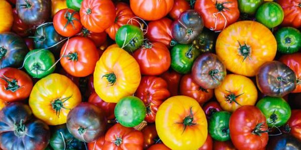 Во Владивостоке на выходных будет работать продуктовая ярмарка