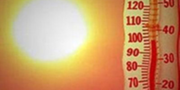 Нынешнее лето в России стало вторым самым жарким