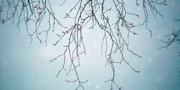 Календарная зима в Приморье завершится небольшим снегом