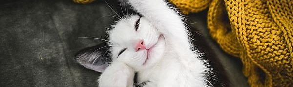 Избавиться от одиночества поможет ощущение счастья