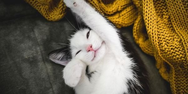 Избавиться от одиночества поможет ощущение счастья