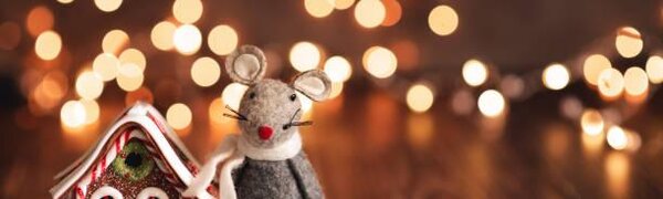 Россияне рассказали, где планируют отметить Новый год