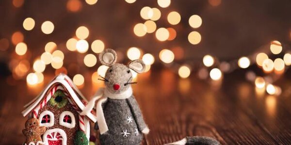 Россияне рассказали, где планируют отметить Новый год