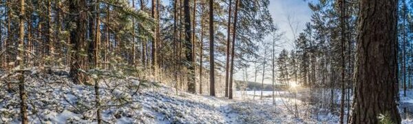 Аномальный Новый год: каким будет январь в России