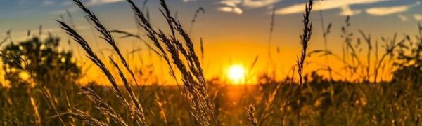 Ученые спрогнозировали, что Землю ждёт самый жаркий год