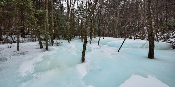 Синоптики уточнили прогноз погоды на первые выходные февраля в Приморье