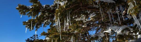 Морозы до -40 °C ожидаются в Приморье на следующей неделе