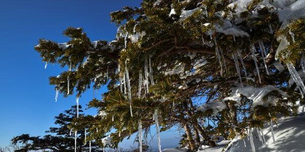 Морозы до -40 °C ожидаются в Приморье на следующей неделе