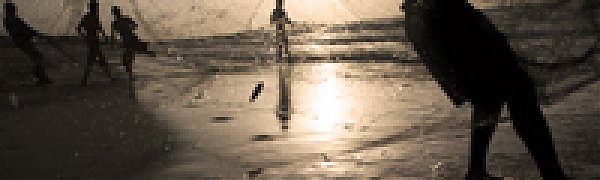 Северное море избавилось от 20 тонн рыболовных сетей