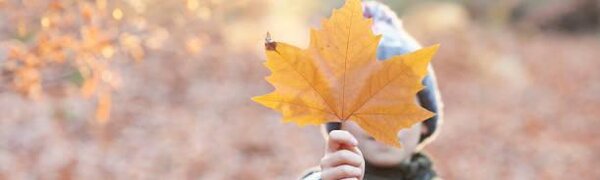 В Приморье наблюдается спокойная пожароопасная обстановка