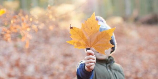 В Приморье наблюдается спокойная пожароопасная обстановка