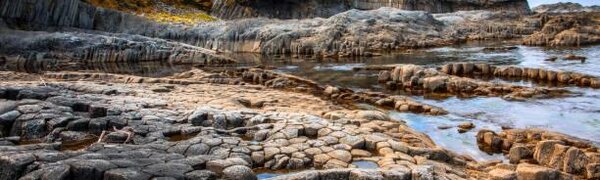 Первые японские туристы посетили Южные Курилы