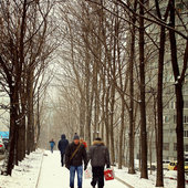 Вчера во Владивостоке прошел снег