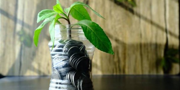 В России увеличится штраф за неуплату экологического сбора