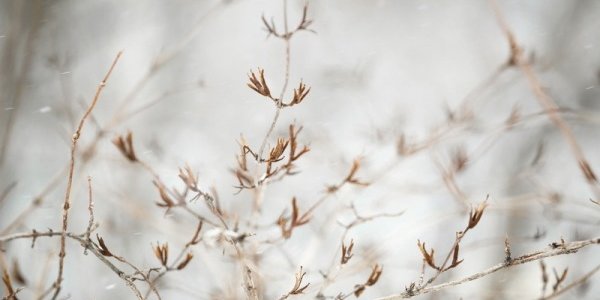 Последние зимние выходные в Приморье будут прохладными, возможен небольшой снег