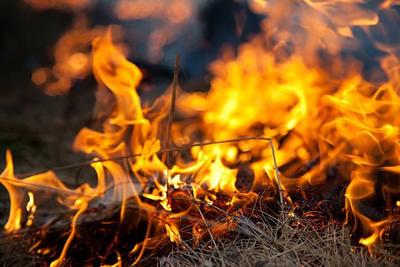 Пожароопасный сезон открыт в 20 муниципалитетах Приморья
