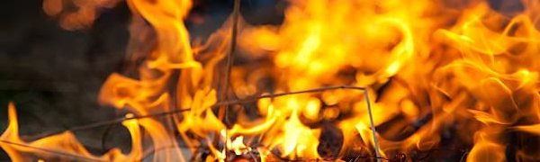 Пожароопасный сезон открыт в 20 муниципалитетах Приморья