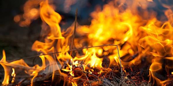 Пожароопасный сезон открыт в 20 муниципалитетах Приморья