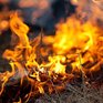 Пожароопасный сезон открыт в 20 муниципалитетах Приморья