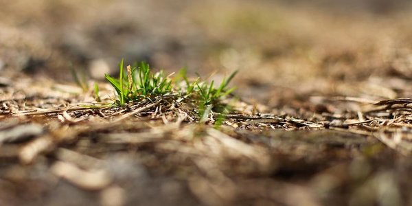 Какой будет погода в Приморье к началу апреля: прогноз на выходные