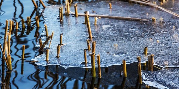 Лёд на реках Приморья начал таять раньше обычного на 4–10 дней