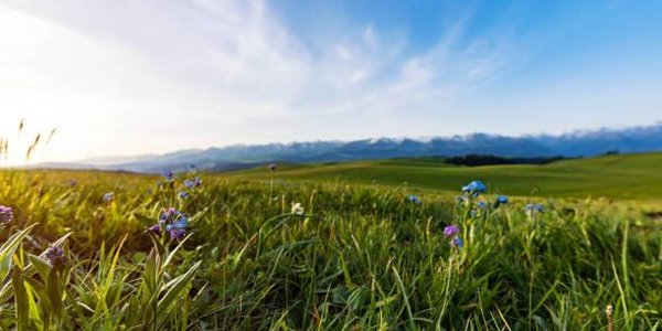 Синоптики рассказали об очагах холода летом 2018 года