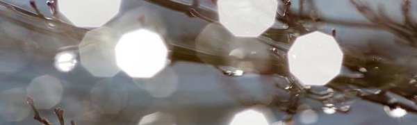 Синоптики предупредили о крайне неустойчивой погоде в апреле